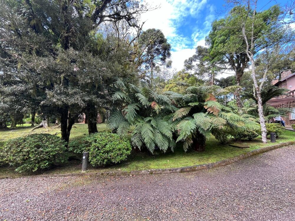 Terreno, 220 m² - Foto 1
