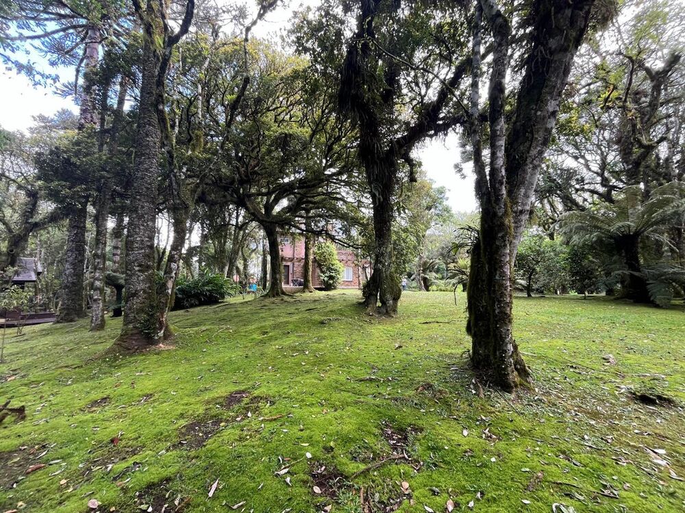 Terreno, 220 m² - Foto 2