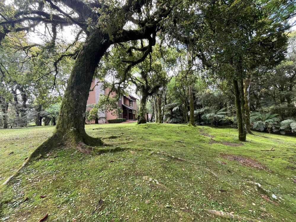 Terreno, 220 m² - Foto 3