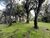 Terreno, 220 m² - Foto 4
