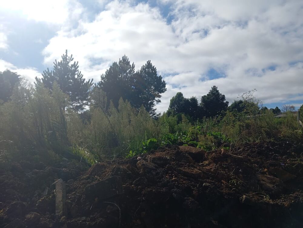 Terreno, 375 m² - Foto 5