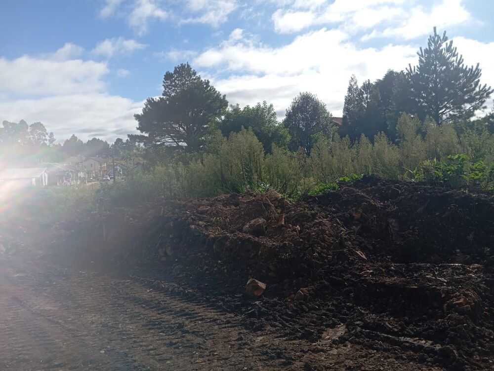 Terreno, 375 m² - Foto 6