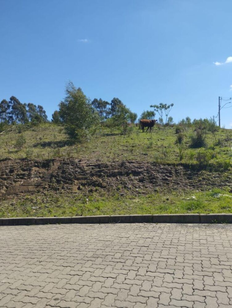Terreno, 364 m² - Foto 4