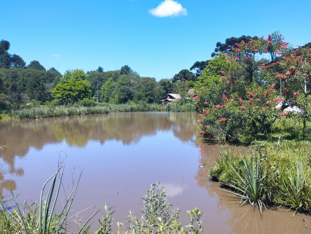 Terreno, 600 m² - Foto 3