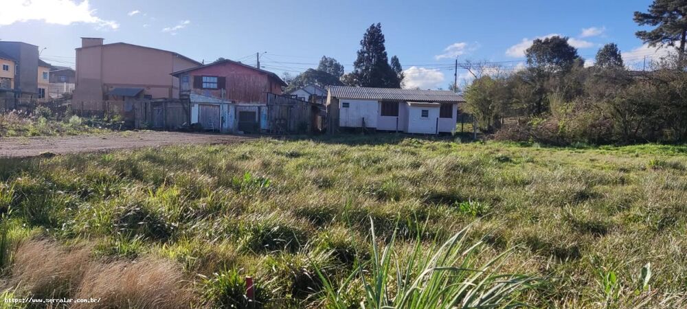 Terreno, 451 m² - Foto 4