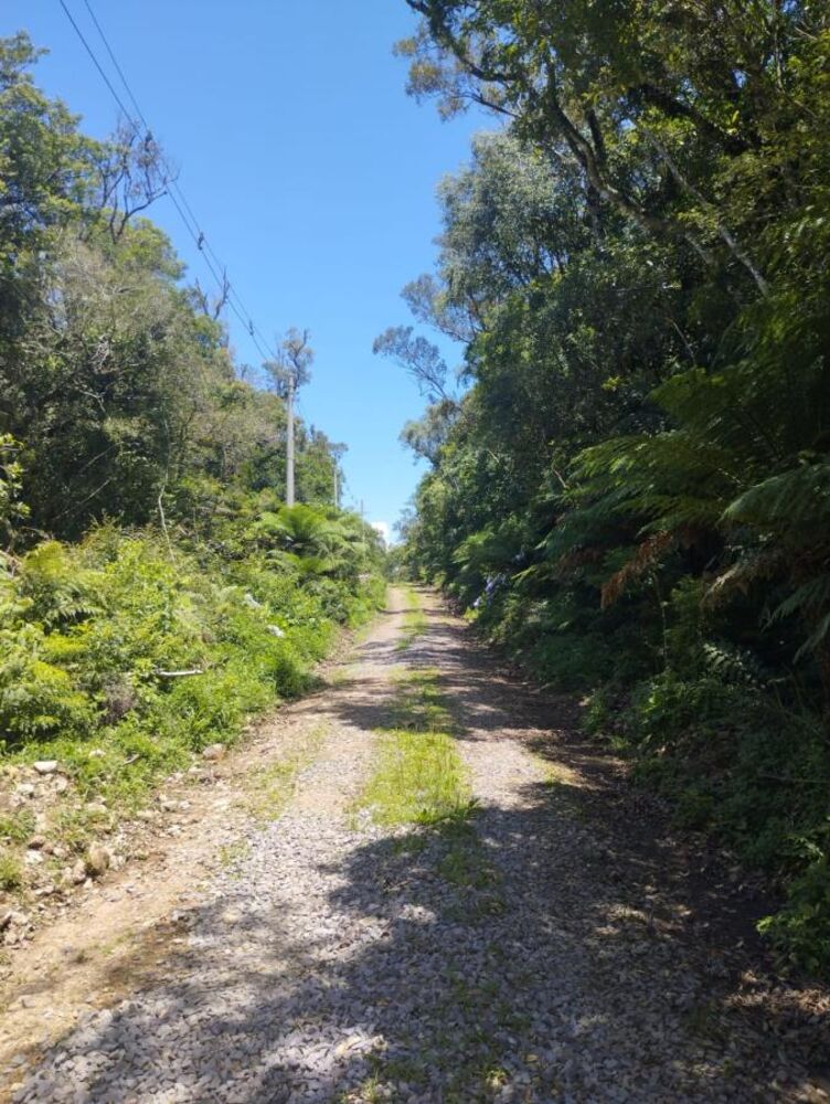 Terreno, 2520 m² - Foto 4