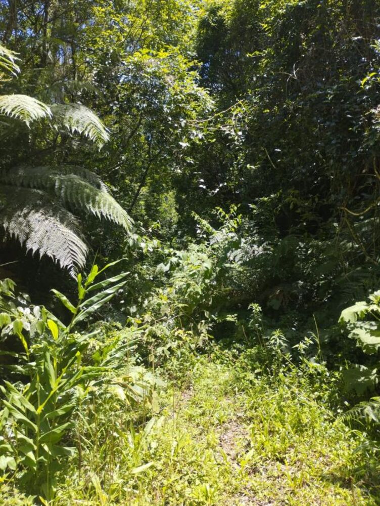 Terreno, 2520 m² - Foto 1