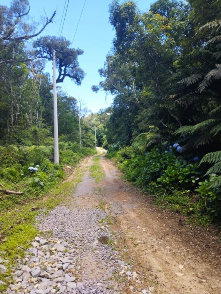 Terreno, 2520 m² - Foto 2