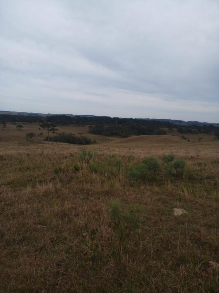 Fazenda à venda, 238m² - Foto 12