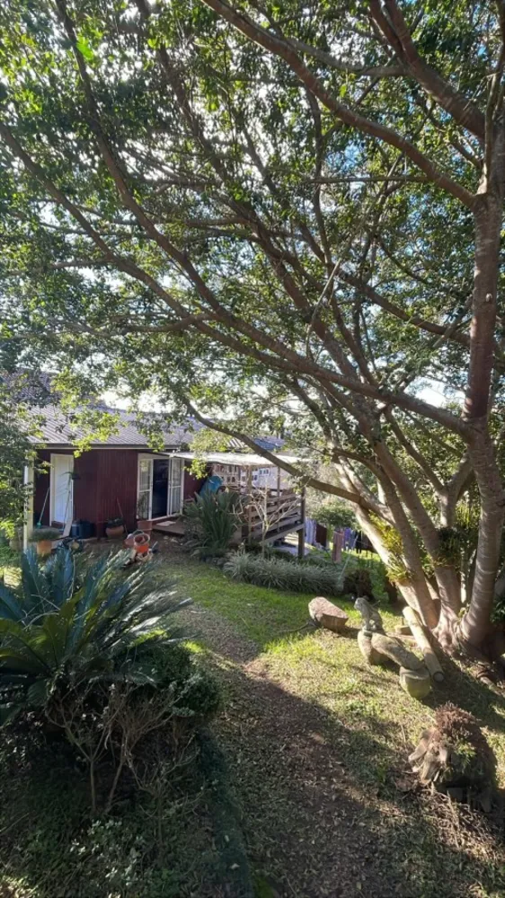 Casa, 5 quartos - Foto 4