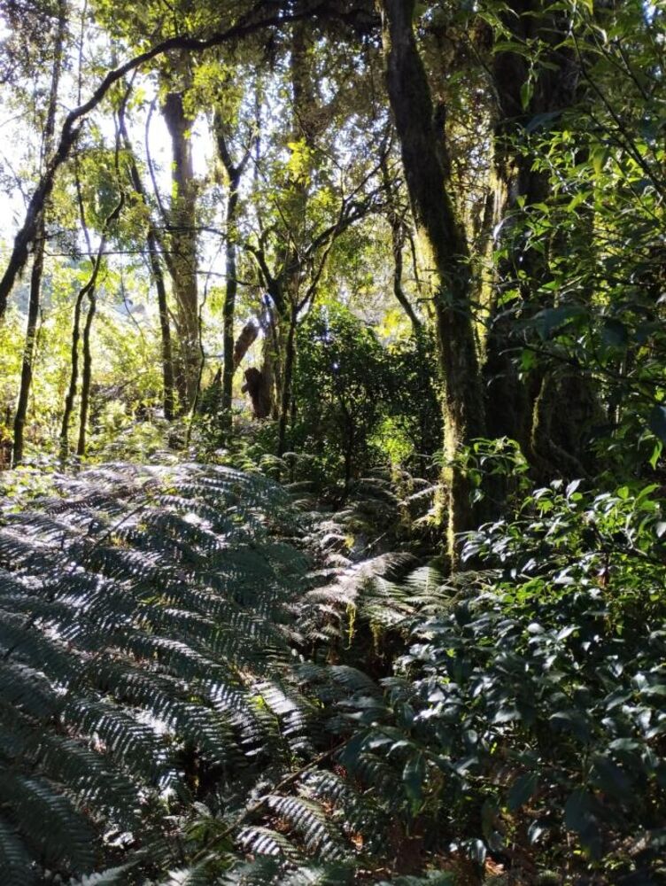 Terreno, 12 m² - Foto 2