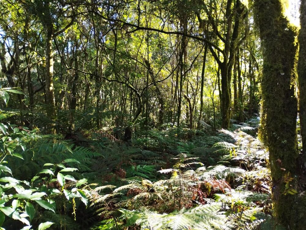 Terreno, 12 m² - Foto 4