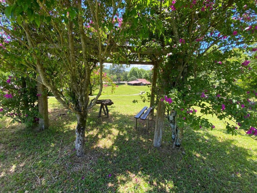 Sítio, 2 quartos, 3 m² - Foto 8