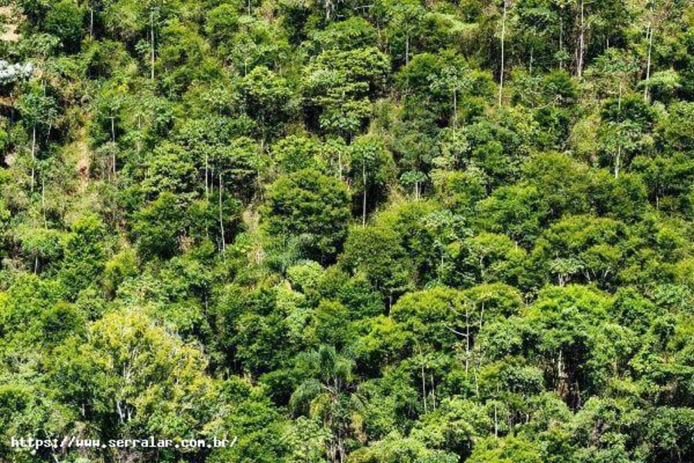 Terreno, 200 m² - Foto 2