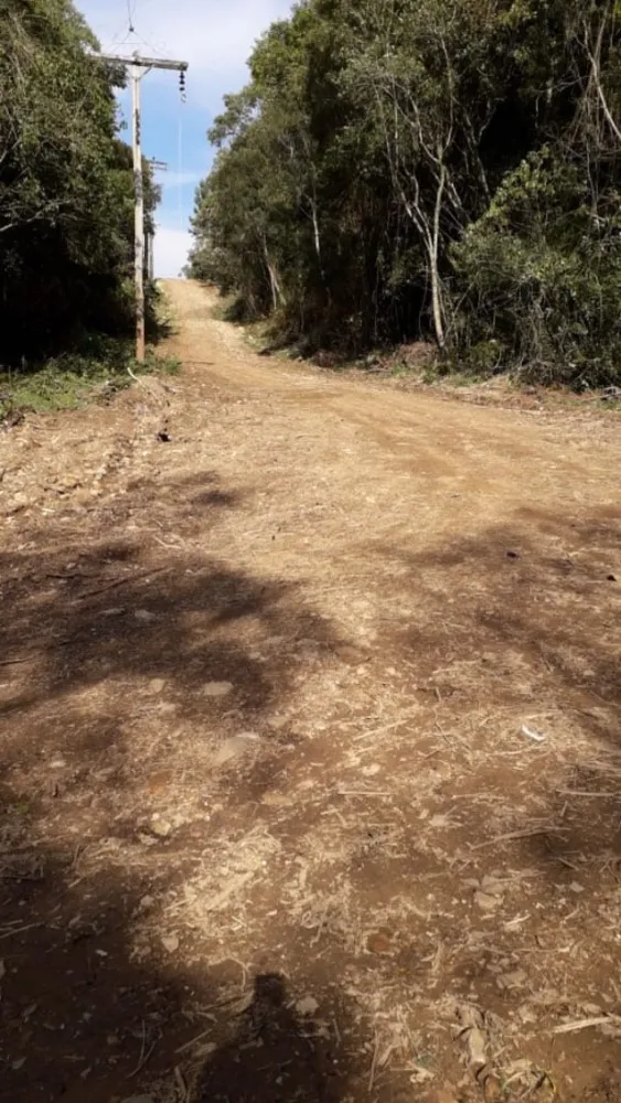 Terreno, 730 m² - Foto 4