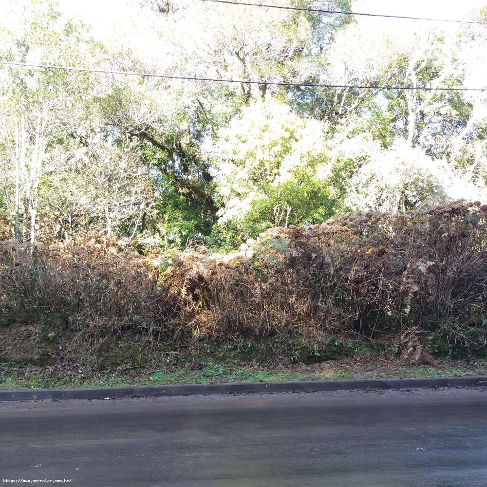 Terreno, 503 m² - Foto 2