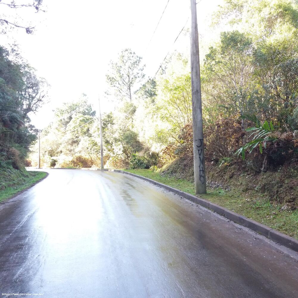 Terreno, 503 m² - Foto 3