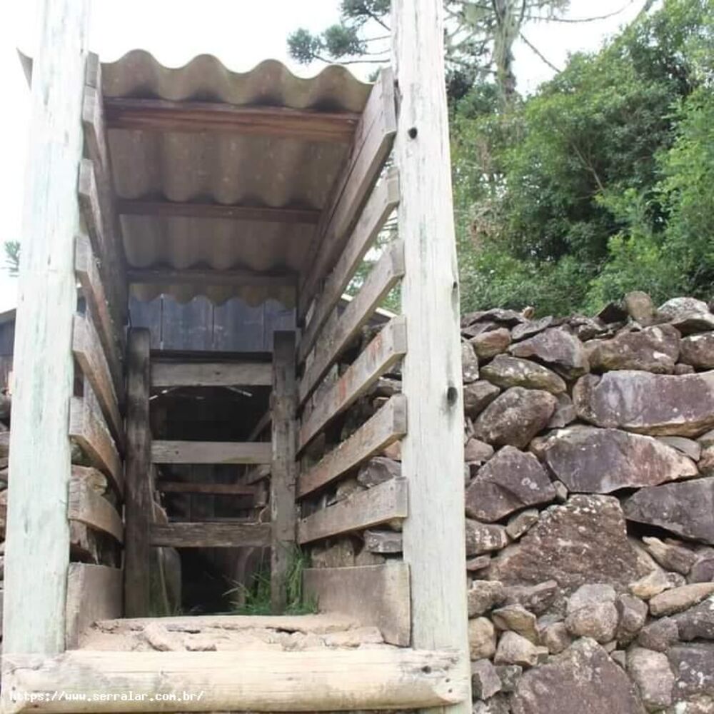 Sítio, 40 m² - Foto 1