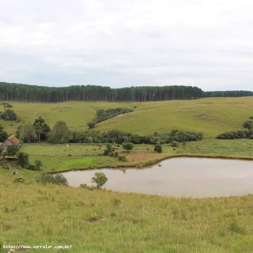 Sítio, 40 m² - Foto 6