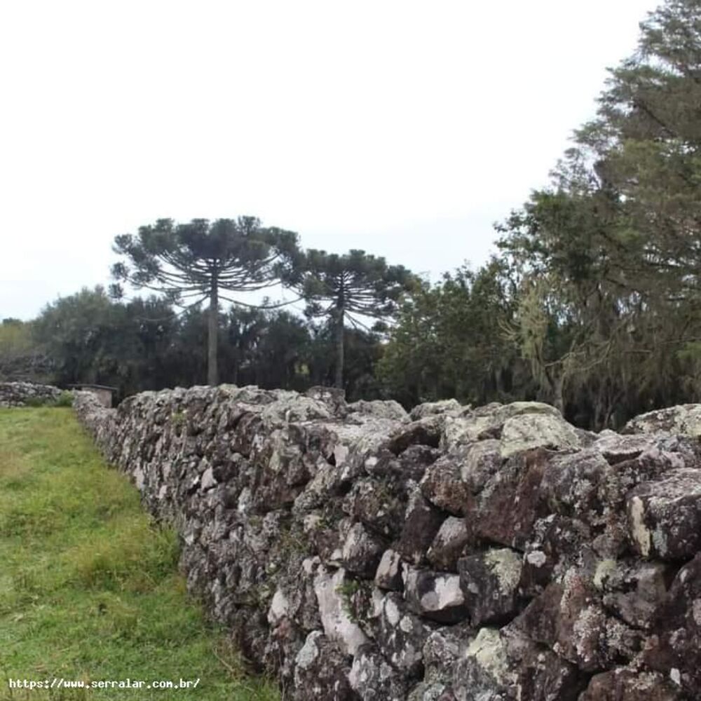 Sítio, 40 m² - Foto 2