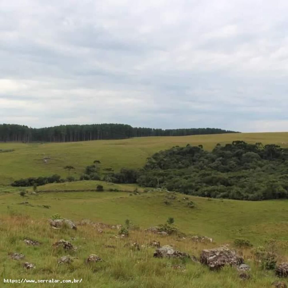 Sítio, 40 m² - Foto 4