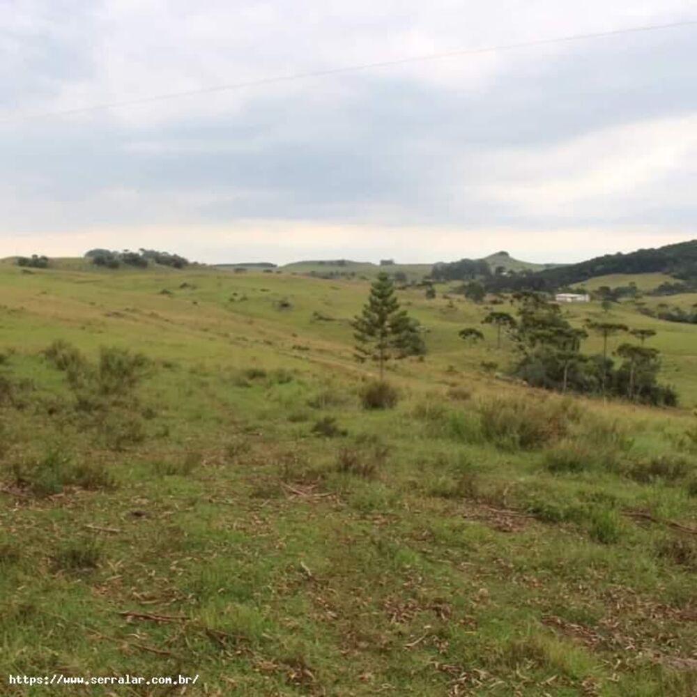 Sítio, 40 m² - Foto 3