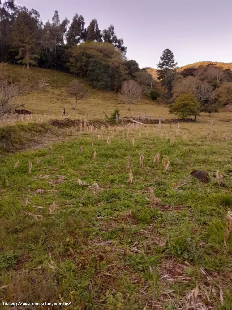 Fazenda à venda, 2m² - Foto 1