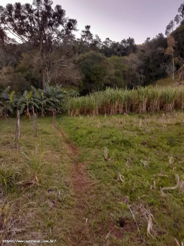 Fazenda à venda, 2m² - Foto 4