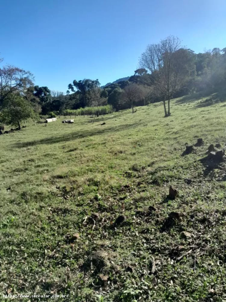 Fazenda à venda, 2m² - Foto 3