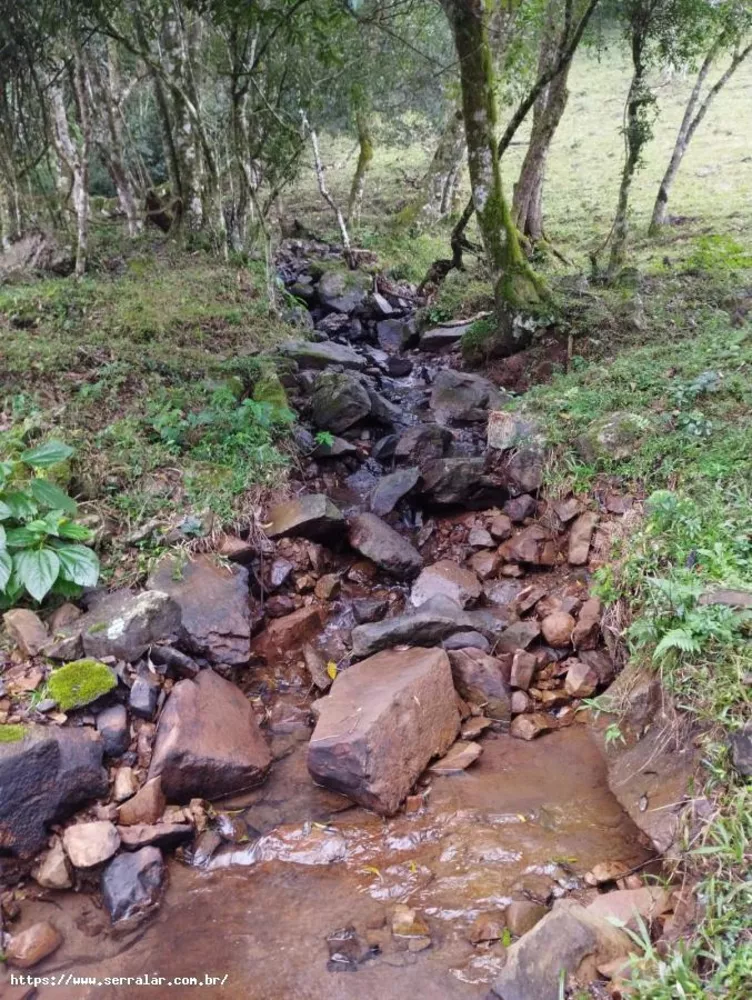 Fazenda à venda, 2m² - Foto 2