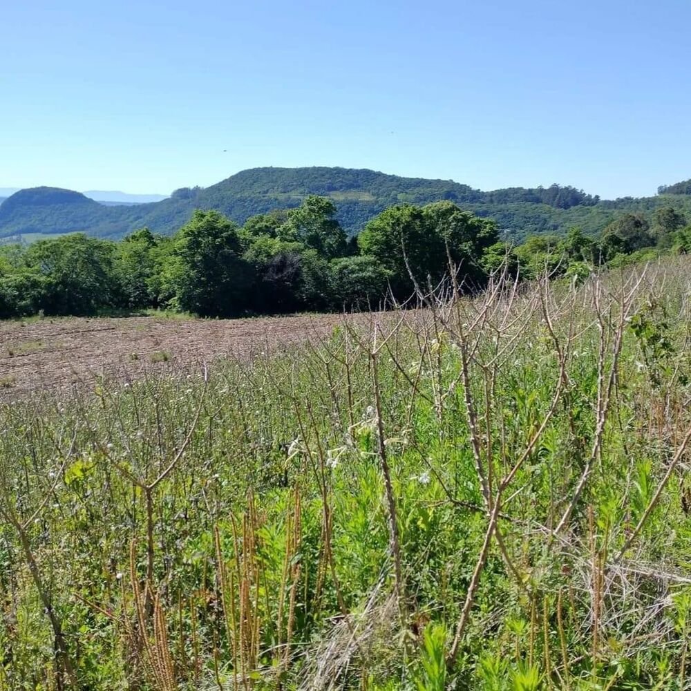 Terreno, 10 m² - Foto 7