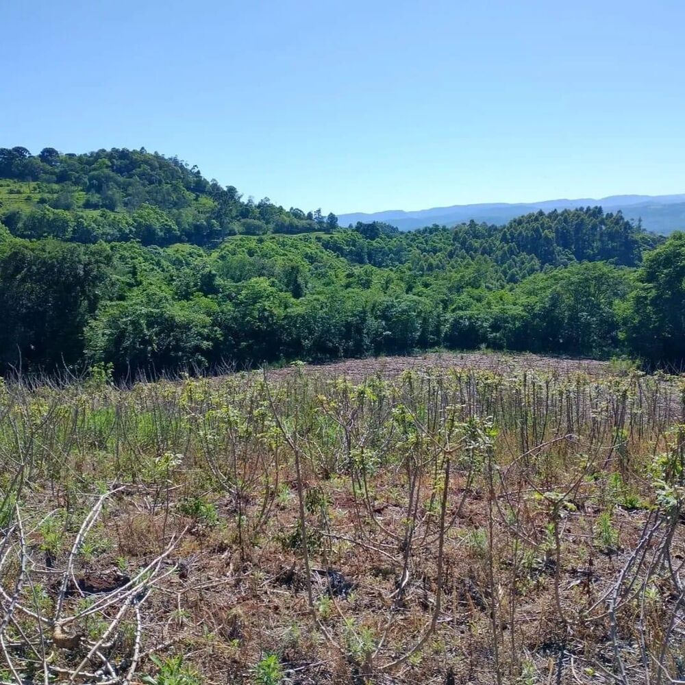 Terreno, 10 m² - Foto 3