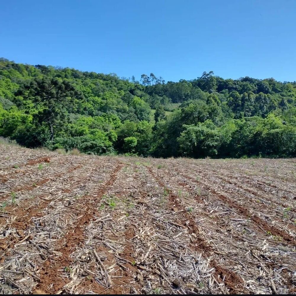 Terreno, 10 m² - Foto 9