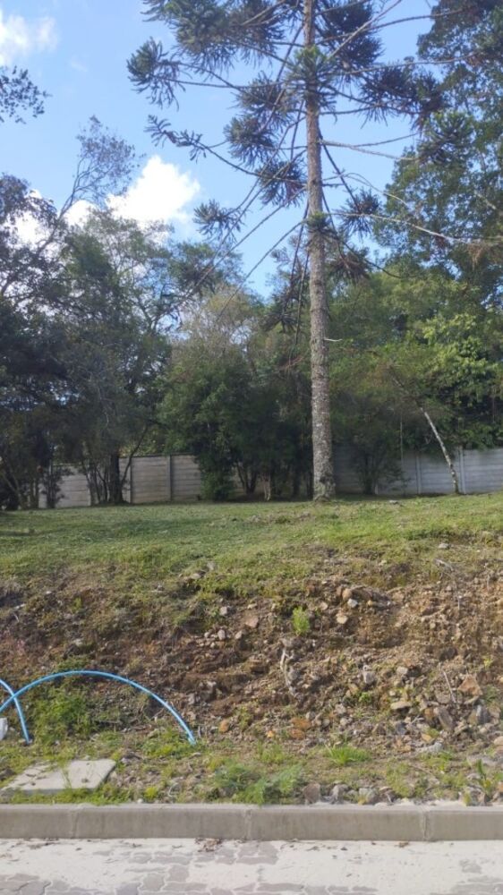 Terreno, 389 m² - Foto 3