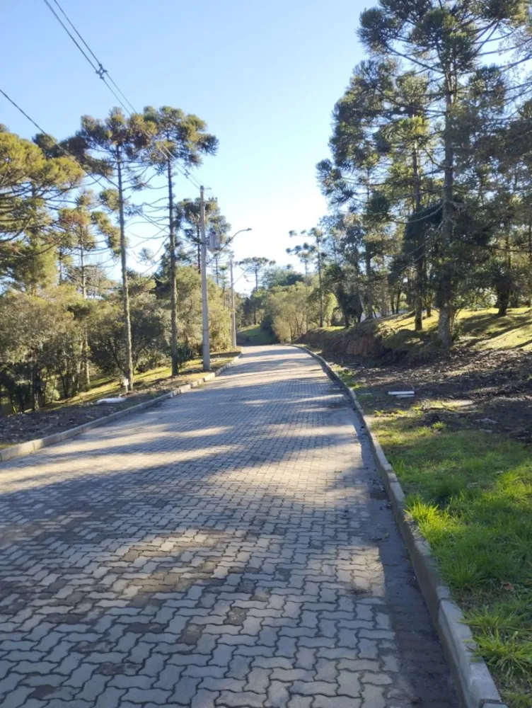 Terreno, 379 m² - Foto 1