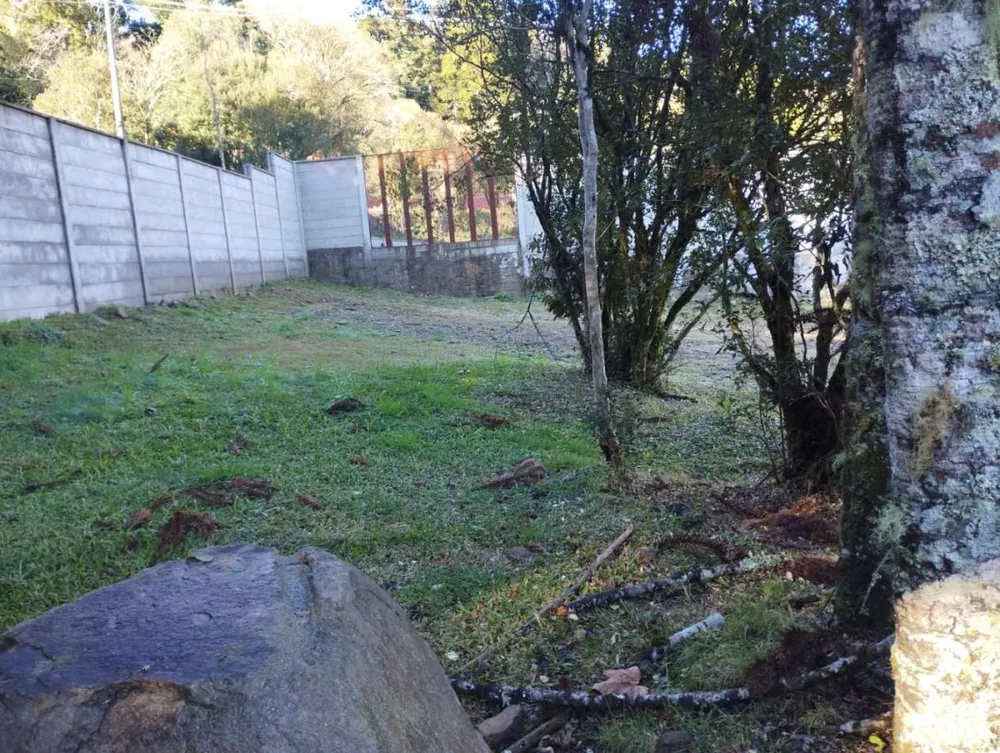 Terreno, 379 m² - Foto 3