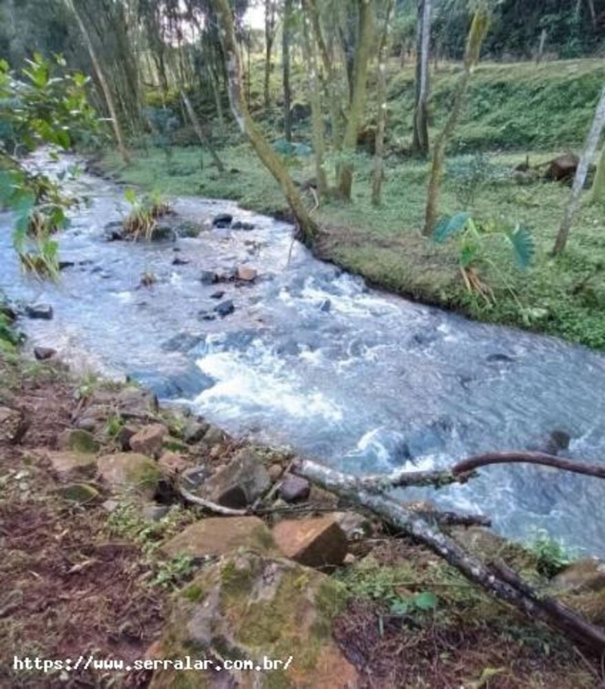 Sítio, 2 quartos, 3 hectares - Foto 7