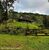 Sítio, 2 quartos, 3 hectares - Foto 1