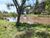 Terreno, 600 m² - Foto 4