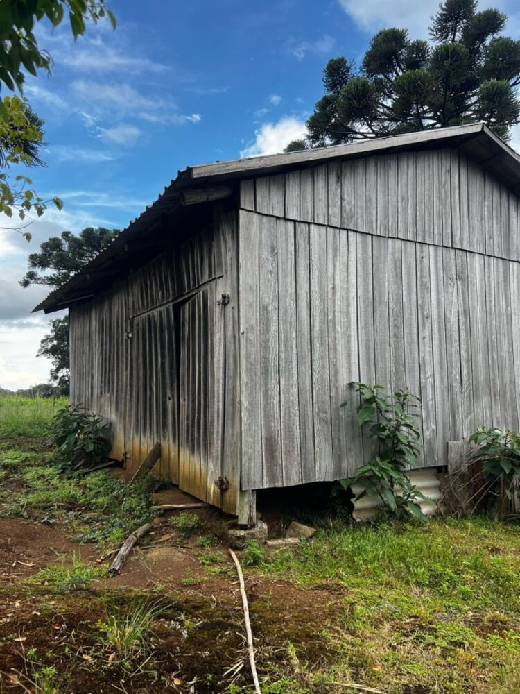 Sítio, 3 quartos, 3 m² - Foto 5