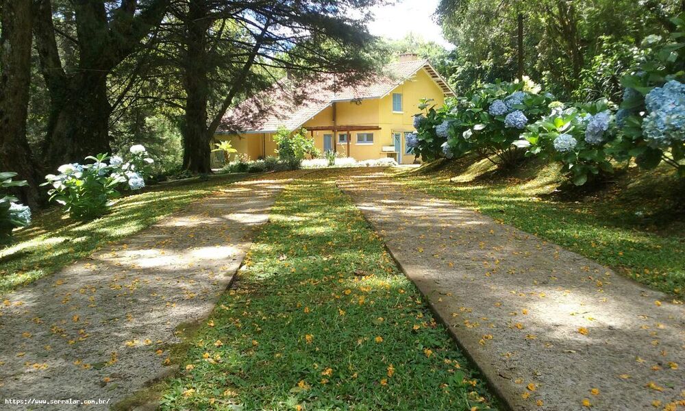 Chácara, 4 quartos, 2 hectares - Foto 26