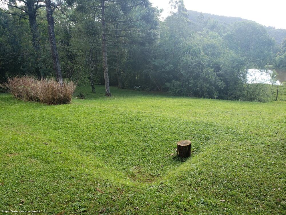 Chácara, 4 quartos, 2 hectares - Foto 7