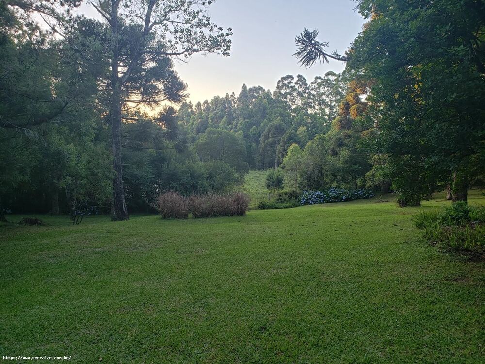 Chácara, 4 quartos, 2 hectares - Foto 8
