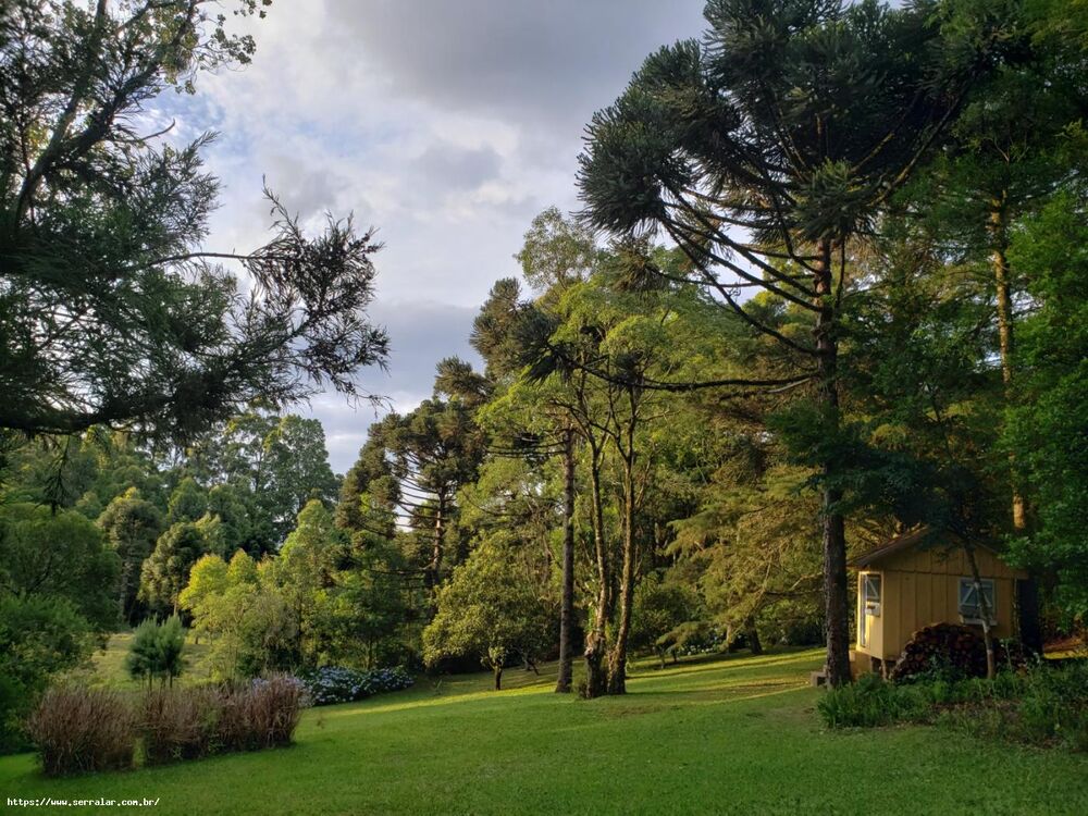 Chácara, 4 quartos, 2 hectares - Foto 1