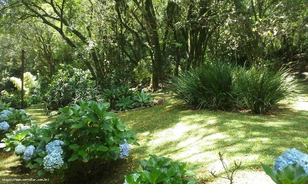 Chácara, 4 quartos, 2 hectares - Foto 31