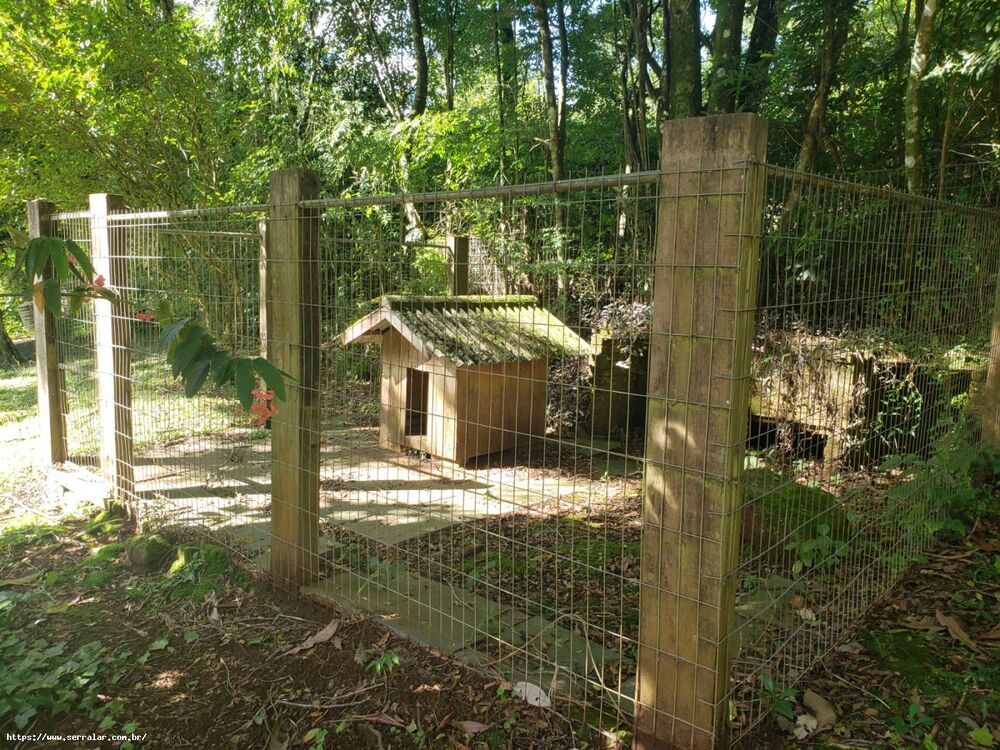 Chácara, 4 quartos, 2 hectares - Foto 16