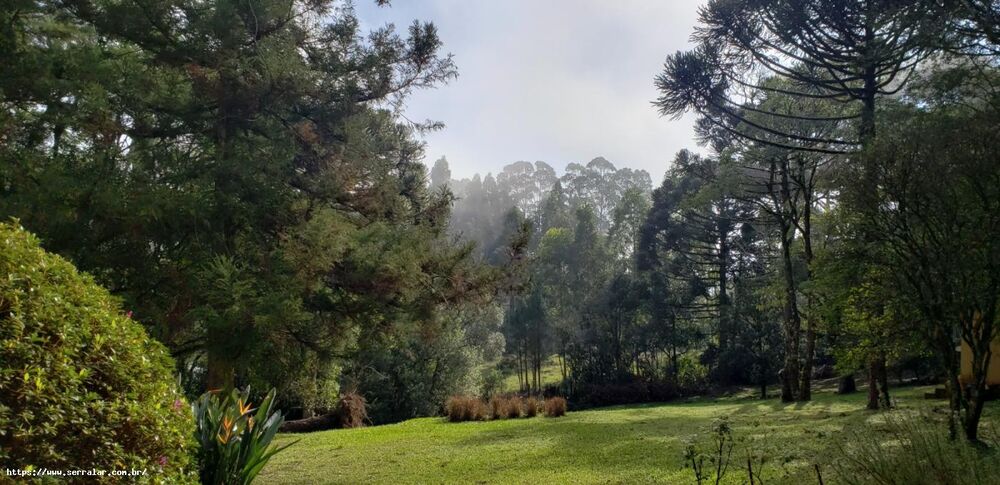 Chácara, 4 quartos, 2 hectares - Foto 4