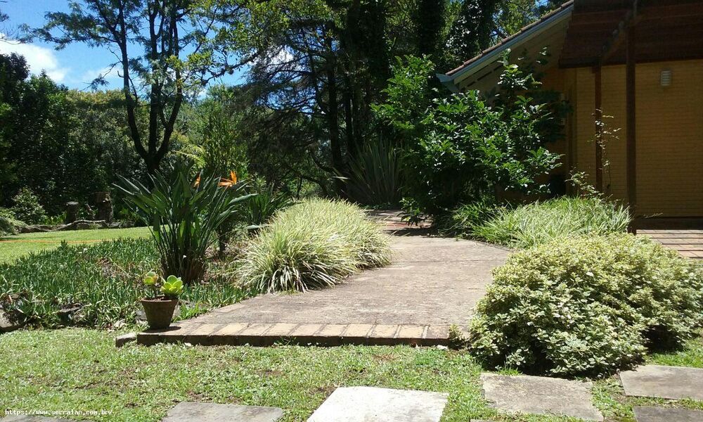 Chácara, 4 quartos, 2 hectares - Foto 27