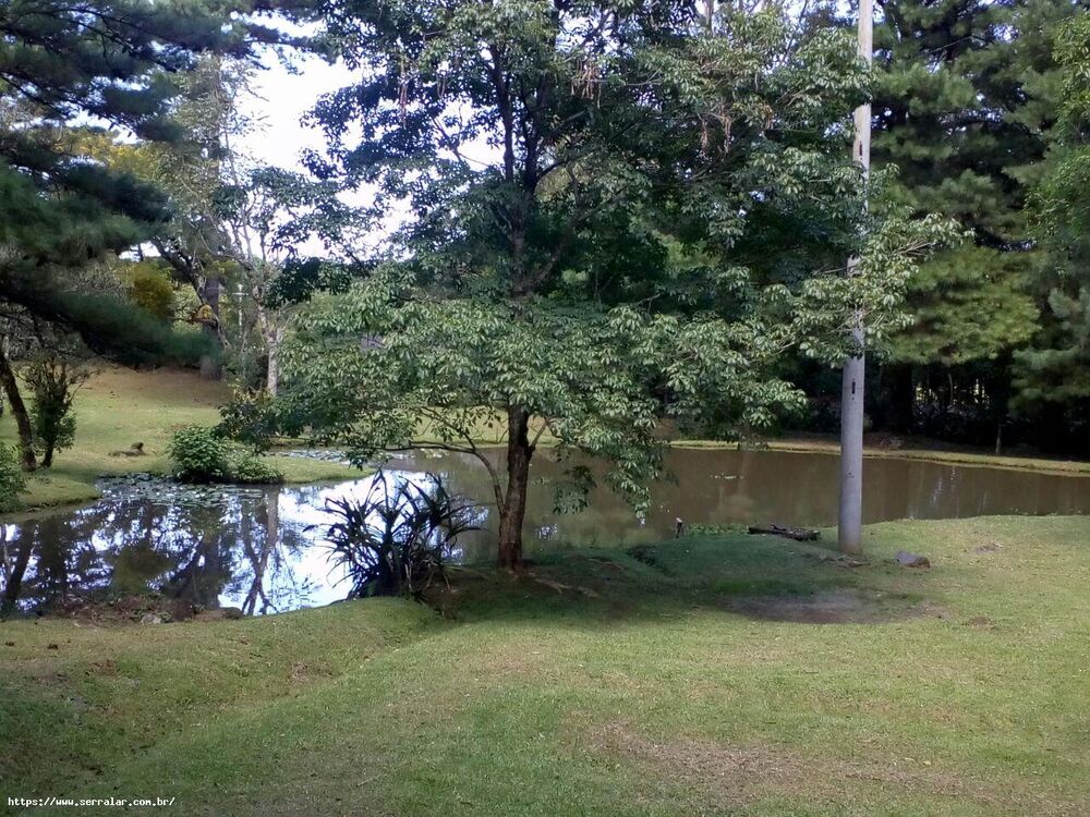 Chácara, 4 quartos, 2 hectares - Foto 2