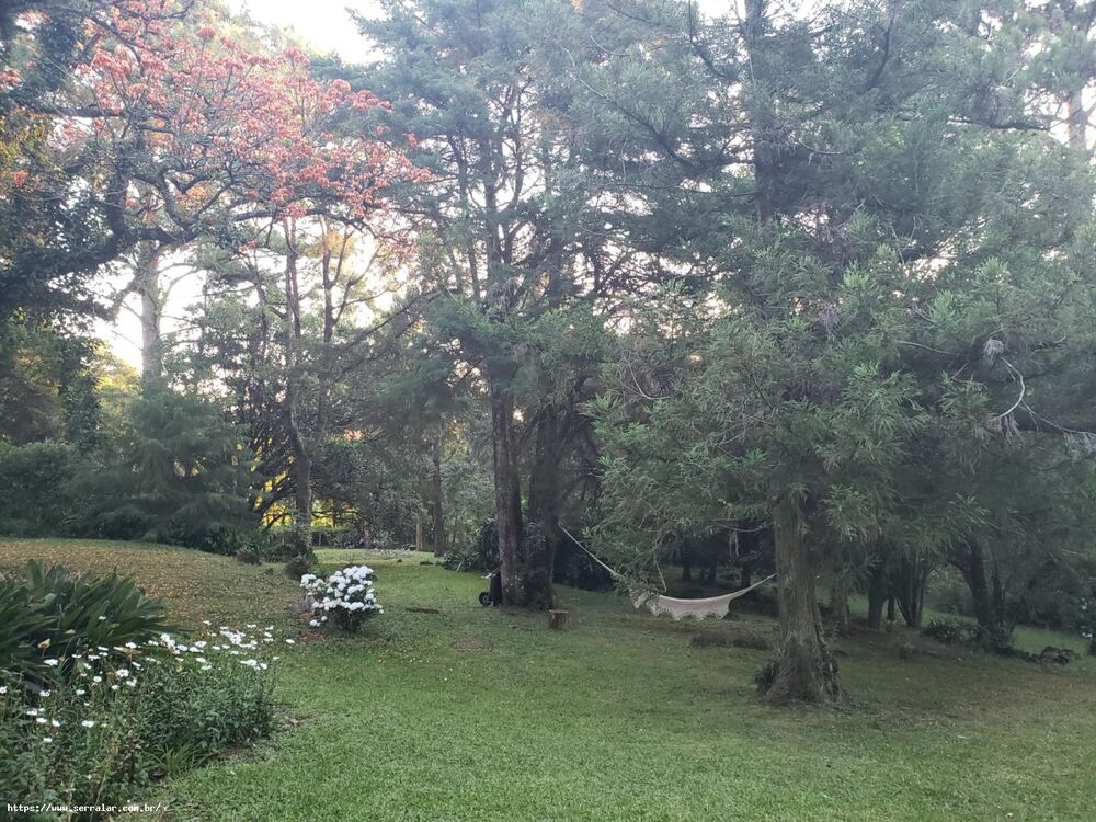 Chácara, 4 quartos, 2 hectares - Foto 10